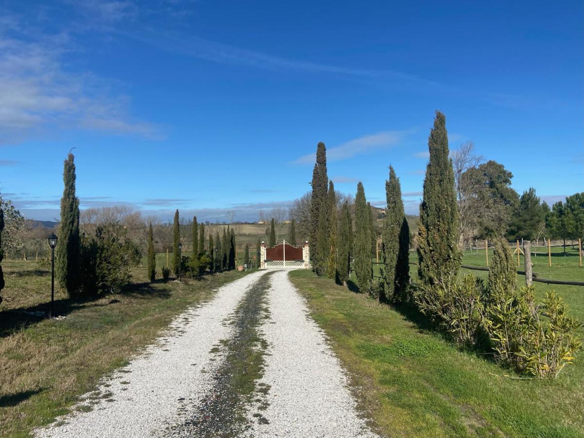 Bed And Breakfast Casale Del Sole Castellina Marittima Ngoại thất bức ảnh