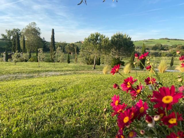 Bed And Breakfast Casale Del Sole Castellina Marittima Ngoại thất bức ảnh