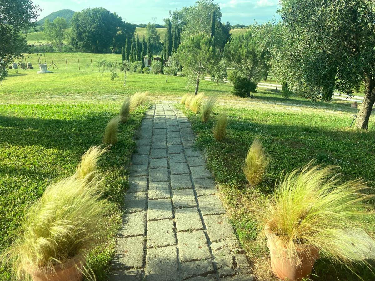 Bed And Breakfast Casale Del Sole Castellina Marittima Ngoại thất bức ảnh